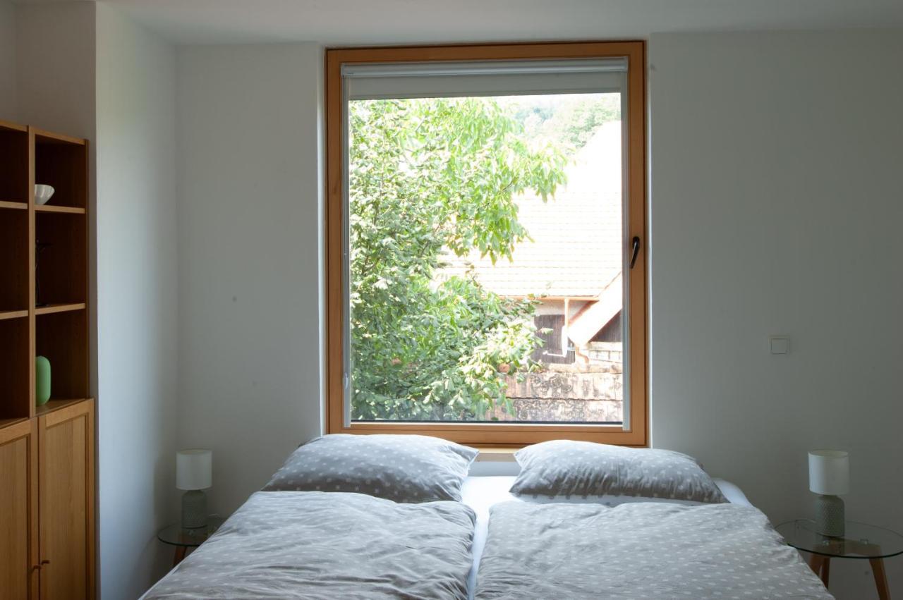Pension Merano Jetrichovice  Екстер'єр фото