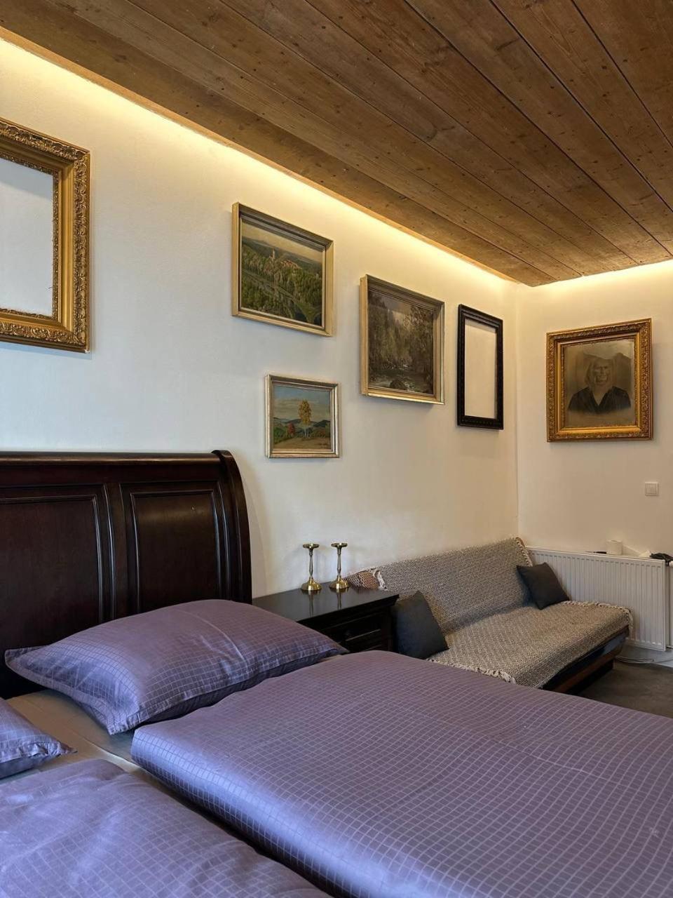 Pension Merano Jetrichovice  Екстер'єр фото